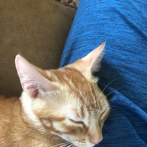 Meet your Posher, Ayub